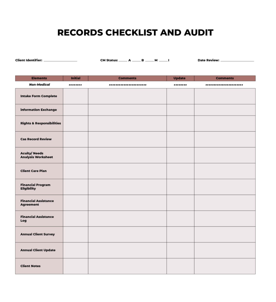 Printable Medical Chart Audit Tool Template