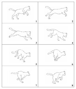 10 Best Printable Flip Books Printablee - Fillable Form 2024