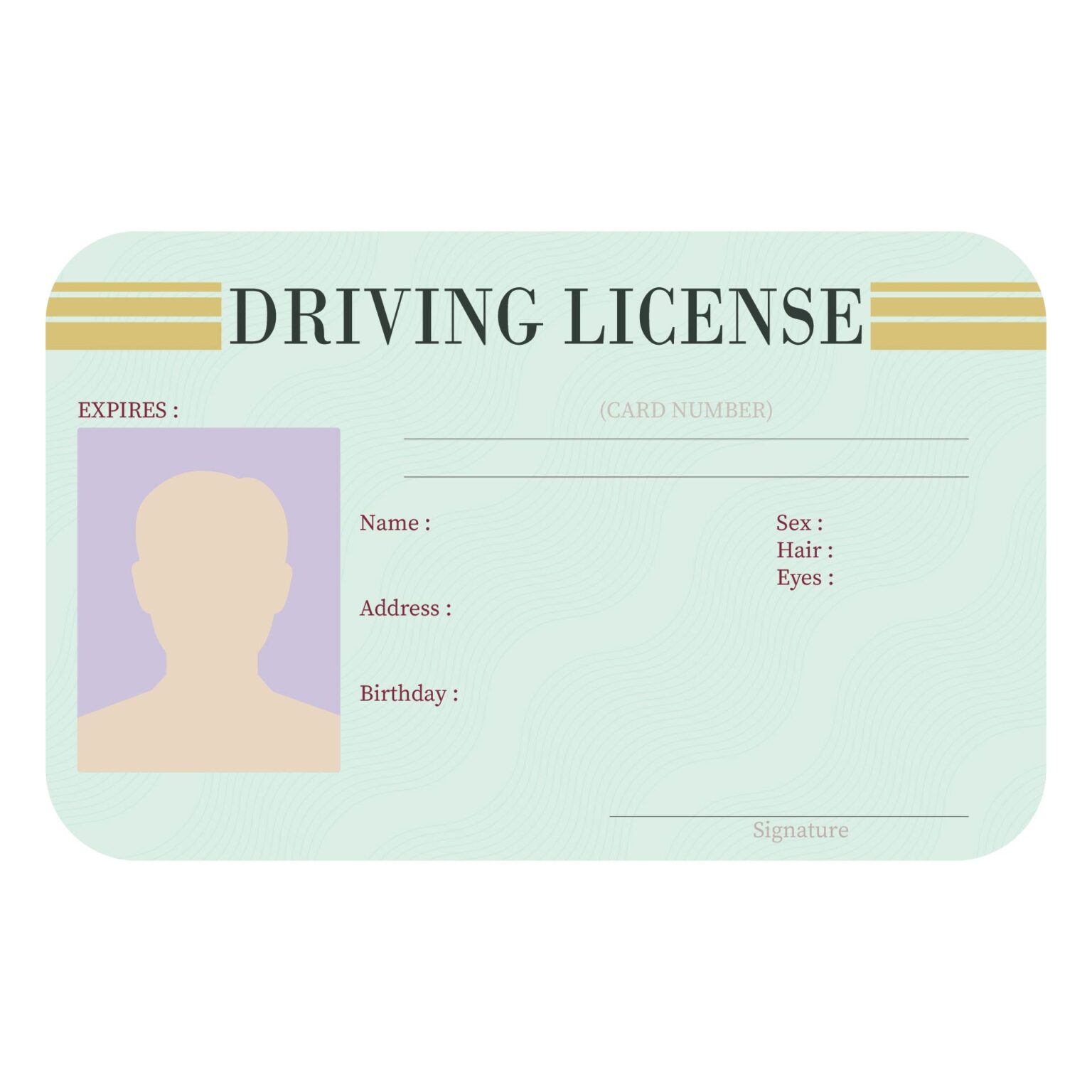 14 Best Drivers License Printable Template Printablee Fillable Form 2023