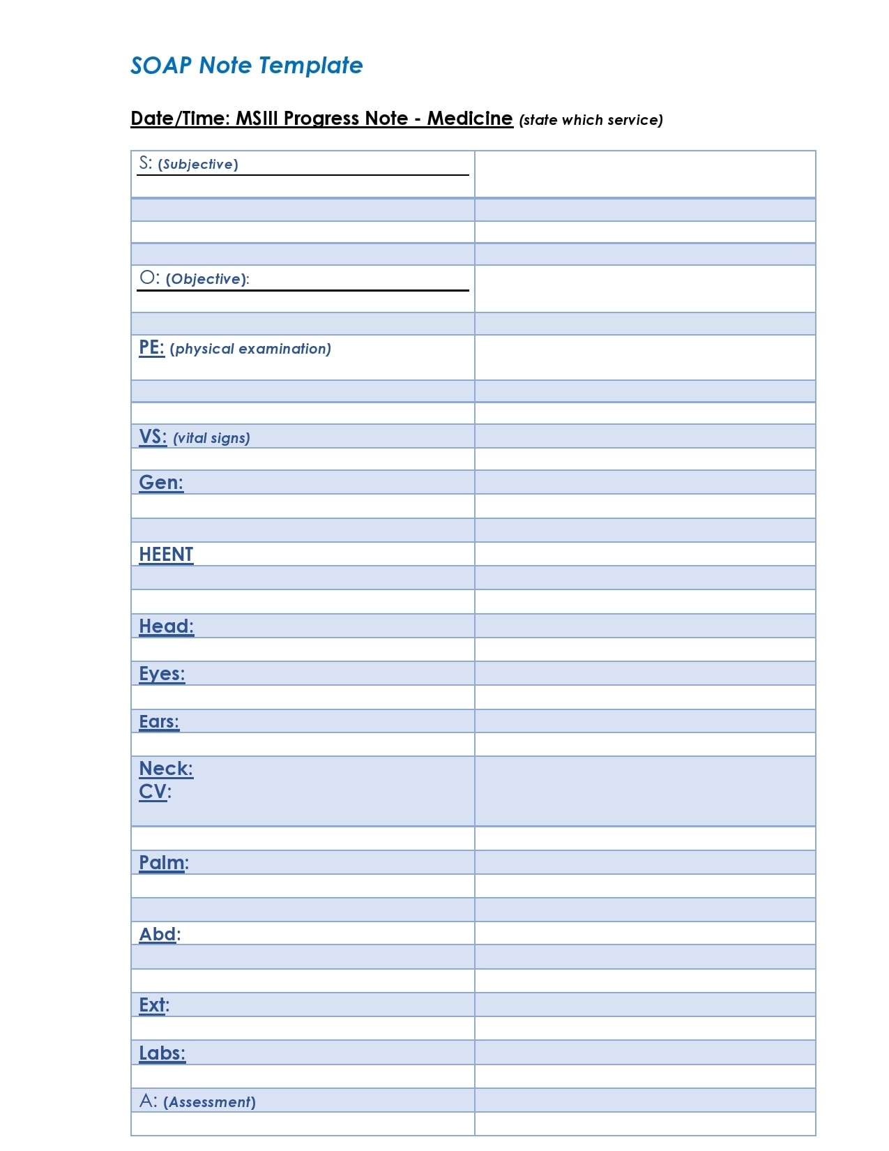 30 Blank SOAP Note Templates Examples TemplateArchive