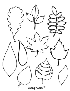 37 Printable Leaf Templates Outlines Shapes Free World Of Printables ...