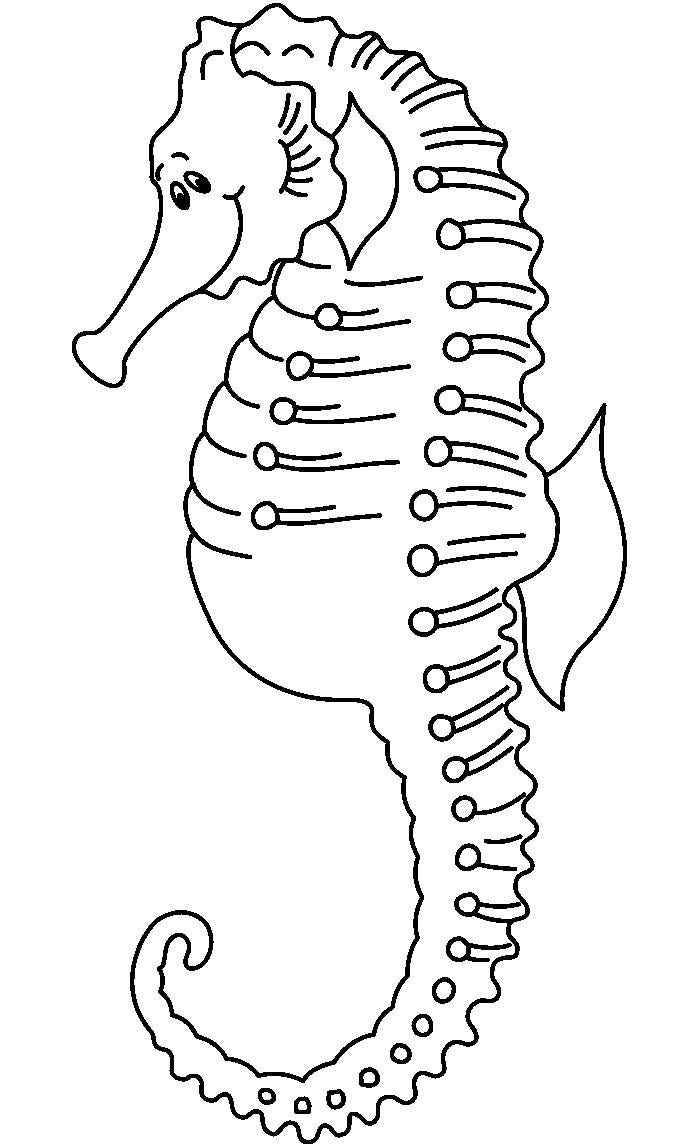 65 Sea Creature Templates Printable Crafts Colouring Pages 