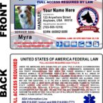 Amazon Service Dog ID Card Custom Printed Holographic Identification Free Zip Lock Pouch Included Office Products