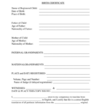 Birth Certificate Translation Form Pdf Fill Online Printable Fillable Blank PdfFiller