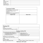 Blank Care Plan Template For Nurses Fill Out Sign Online DocHub