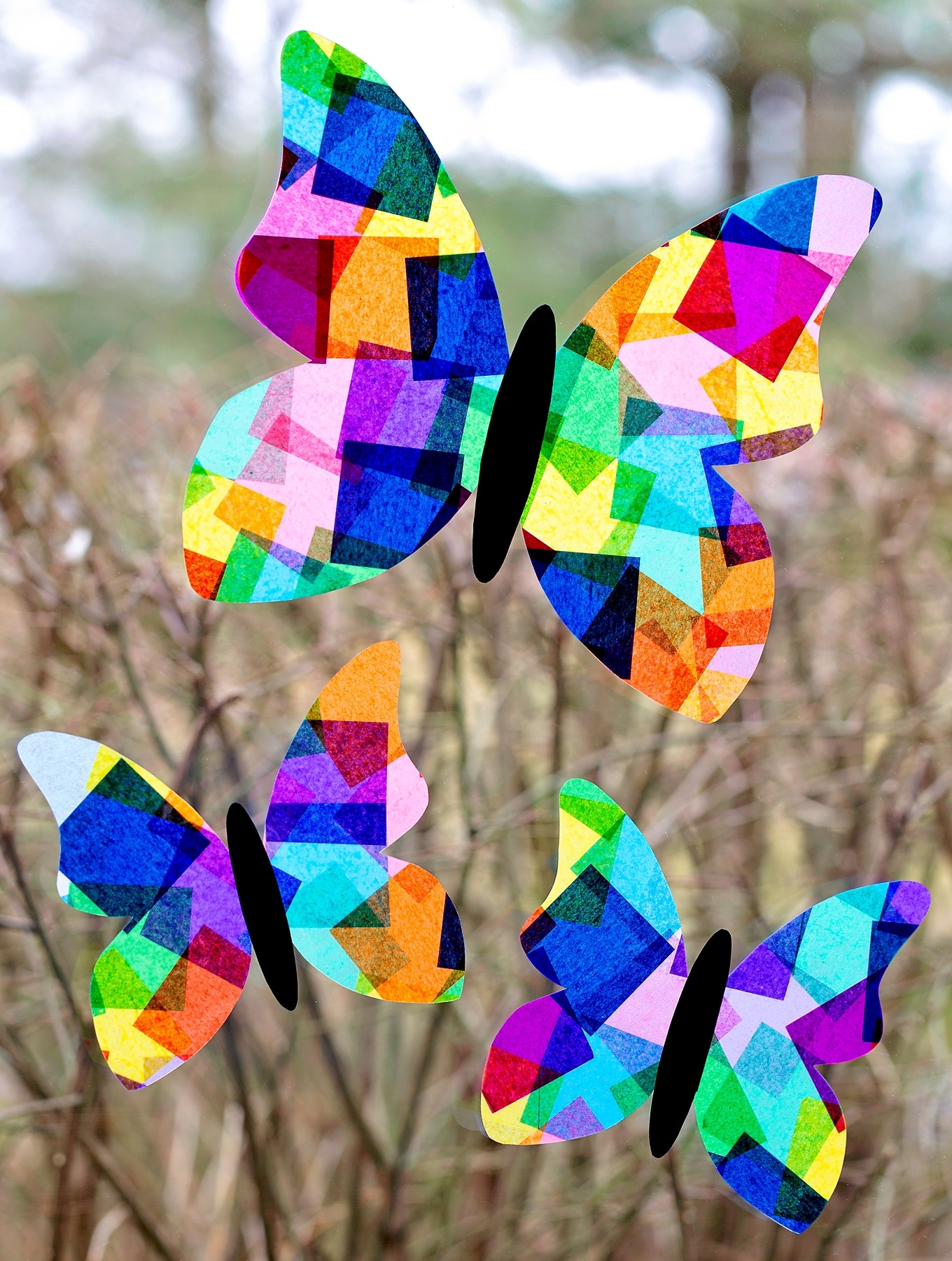 Butterfly Template Fireflies And Mud Pies