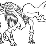 Dinosaur Bones Coloring Pages Coloring Pages Pictures IMAGIXS Dinosaur Coloring Pages Coloring Pages Dinosaur Coloring