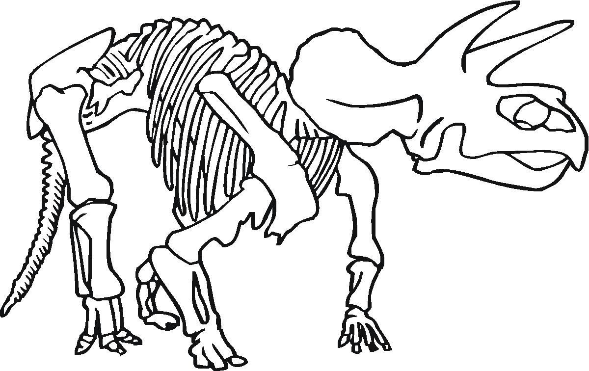 Dinosaur Bones Coloring Pages Coloring Pages Pictures IMAGIXS Dinosaur Coloring Pages Coloring Pages Dinosaur Coloring