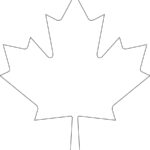 Downloadable Maple Leaf Template For Your Canada Day Crafts Canadian Living