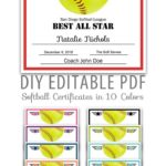 Editable PDF Sports Team Softball Certificate Award Template Etsy Award Template Certificate Templates Softball Awards