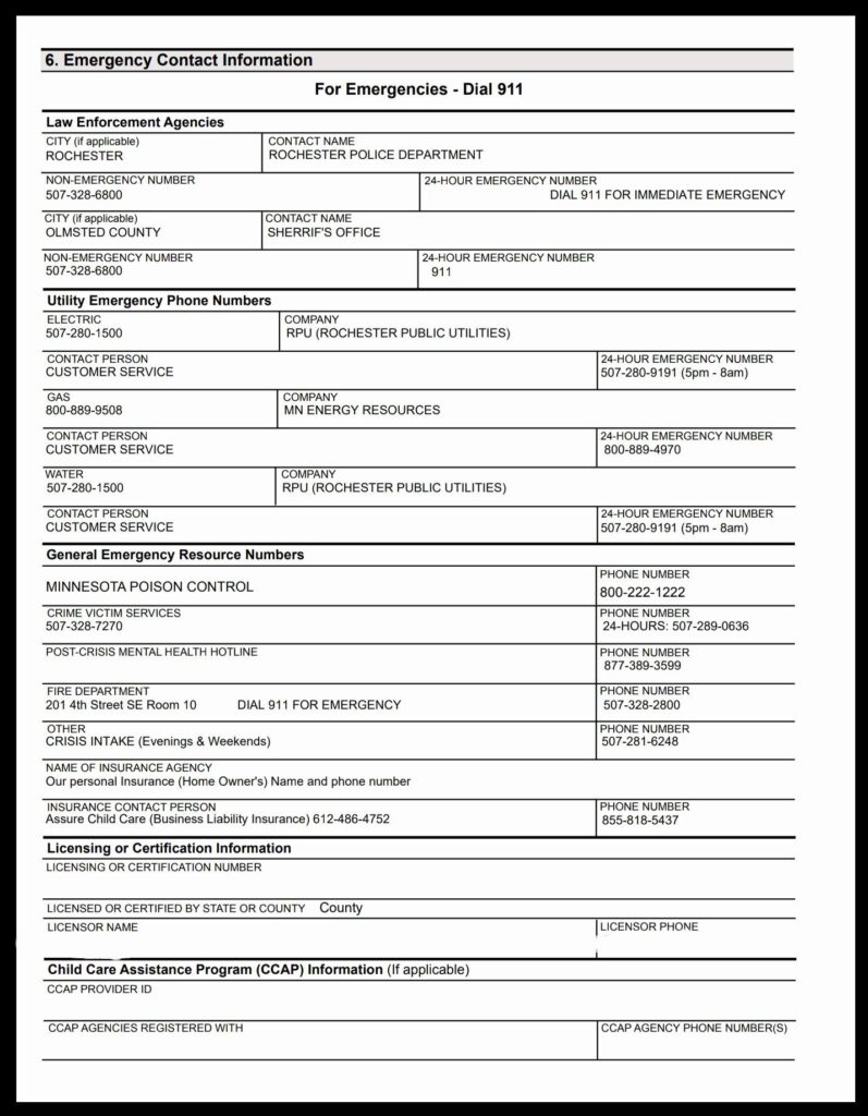 Printable Daycare Emergency Preparedness Plan Template