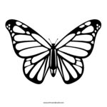 Free Butterfly Stencil Monarch Butterfly Outline And Silhouette