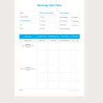 Free Nursing Care Plan Example Google Docs Word Apple Pages PDF Template