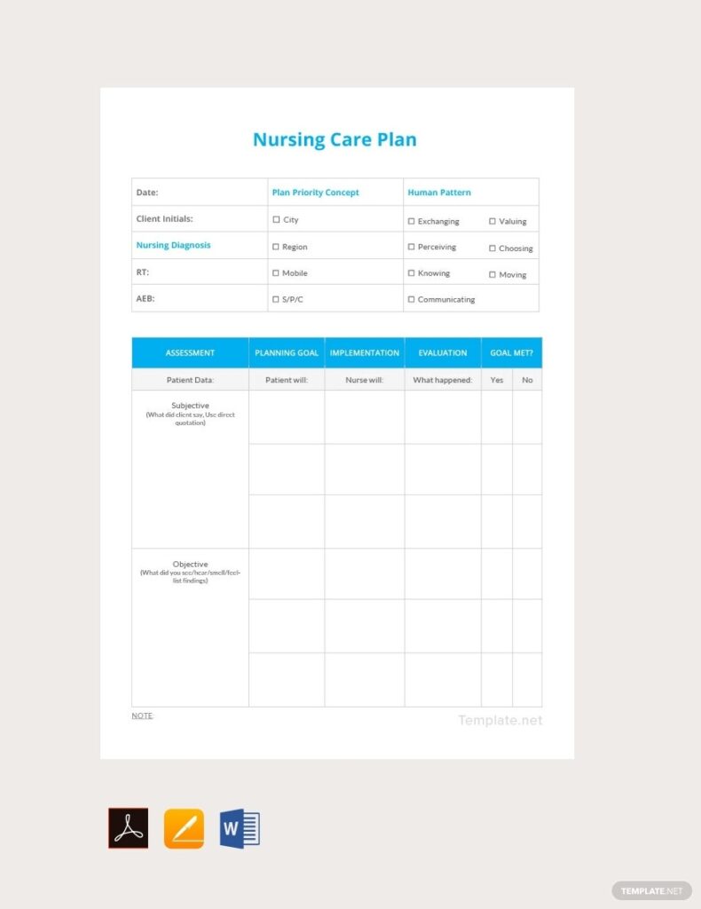 Printable Nursing Care Plan Template Pdf