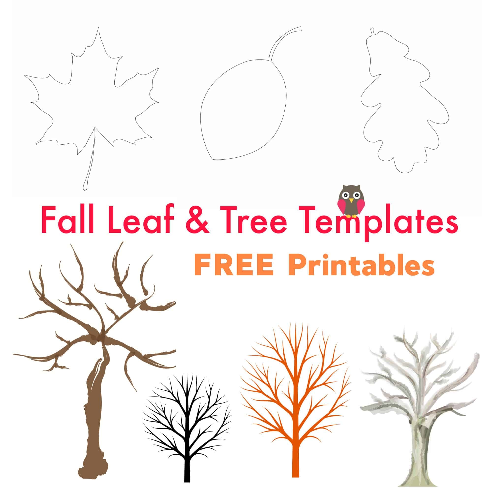 Free Printable Fall Leaf And Tree Templates Emma Owl