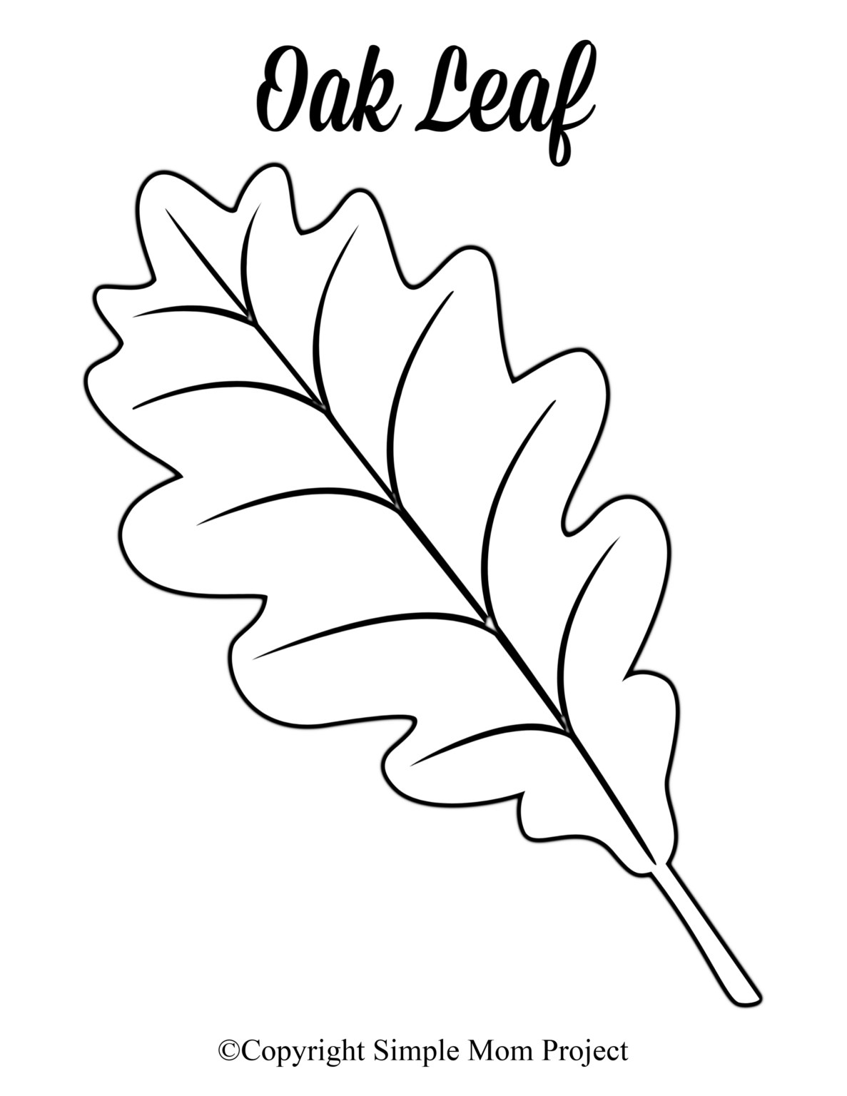 free-printable-large-leaf-templates-stencils-and-patterns-leaf-template