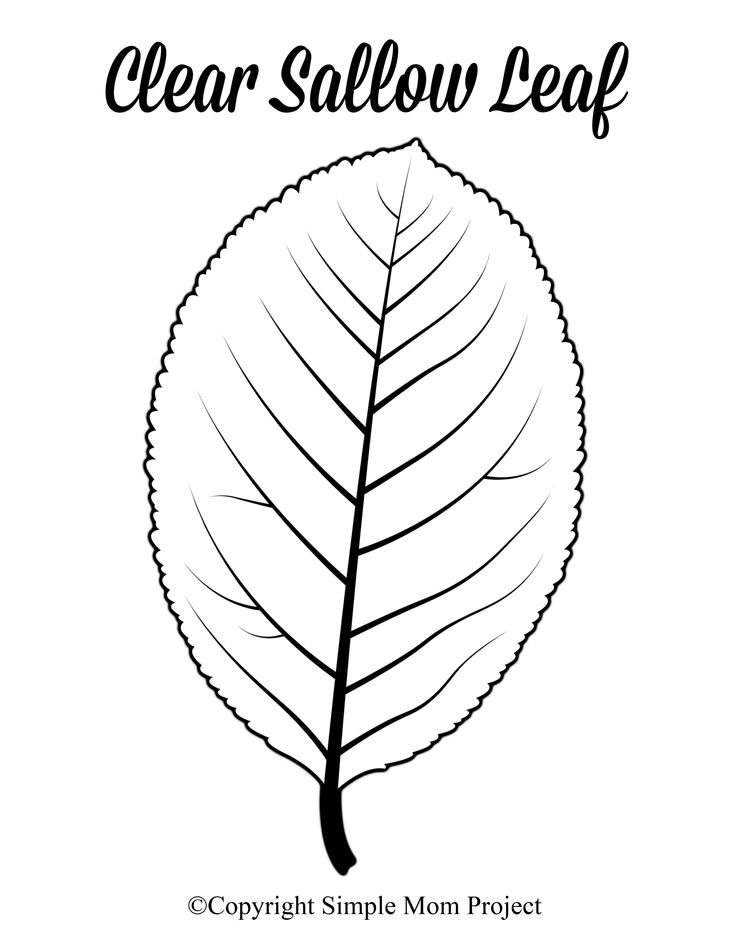 Free Printable Large Leaf Templates Stencils And Patterns Leaf Template Leaf Template Printable Leaf Cutout