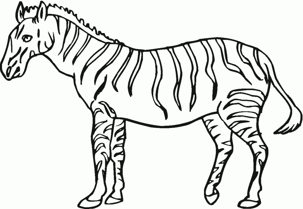 Zebra Template Printable