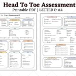 Head To Toe Assessment Nursing Template Nursing Guide Etsy de