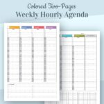 Hourly Planner Printable Weekly Planner Printable Undated Etsy de