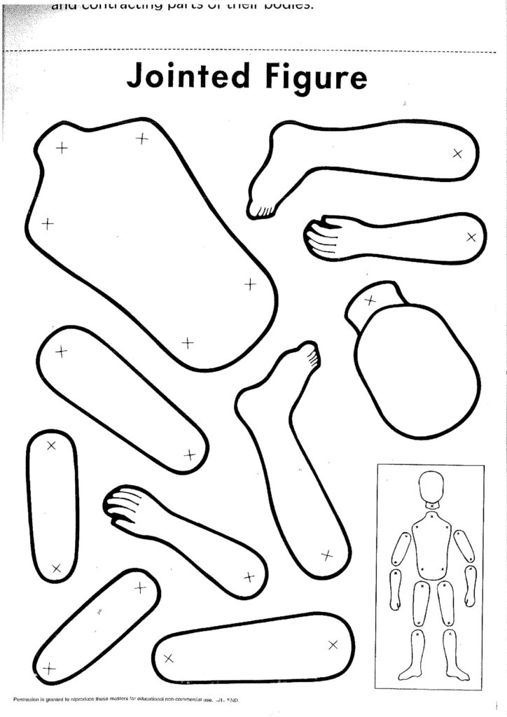 Jointed Figure Paper Doll Template Paper Puppets Paper Dolls Printable