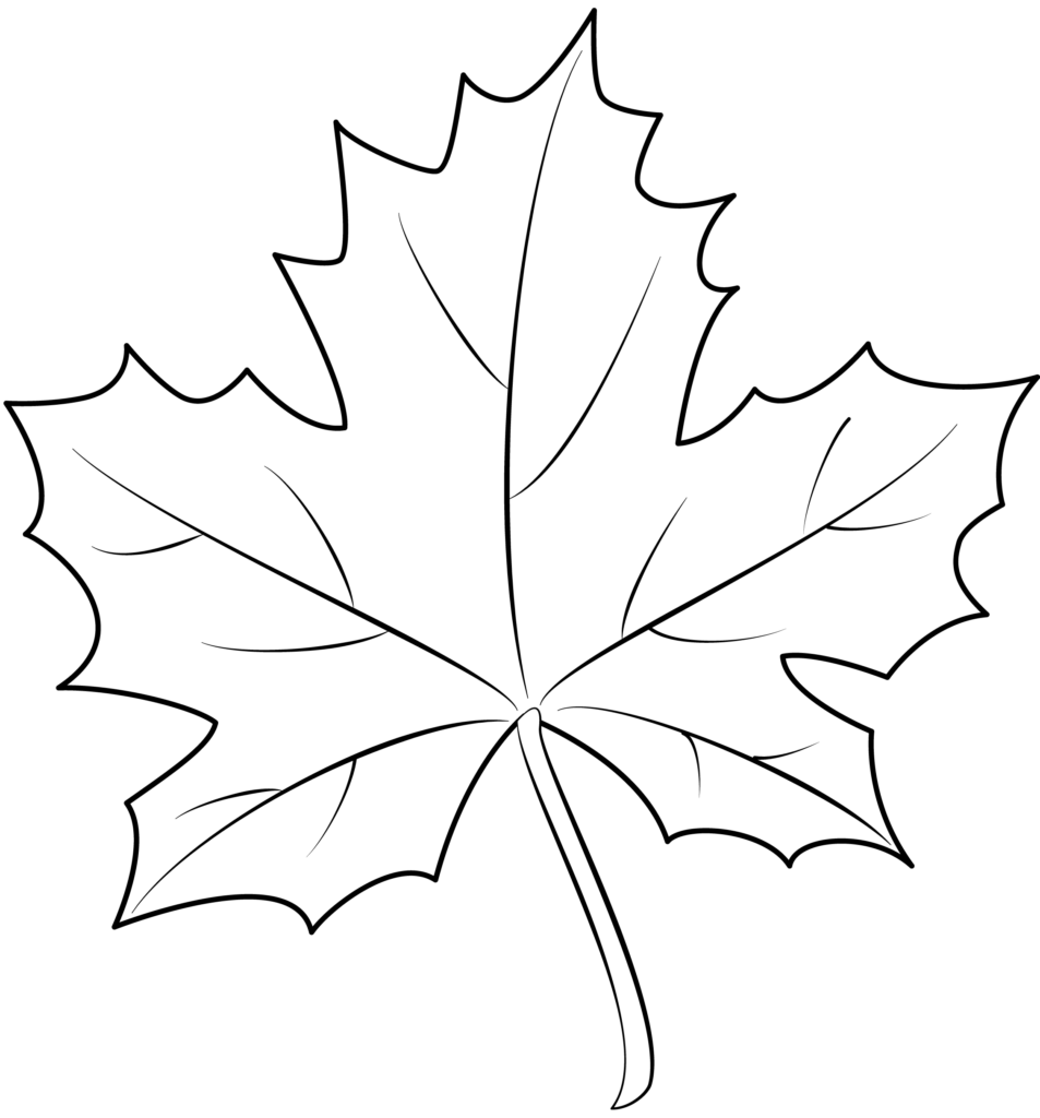 Free Printable Maple Leaf Template