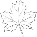 Maple Leaf Printable Template Free Printable Papercraft Templates