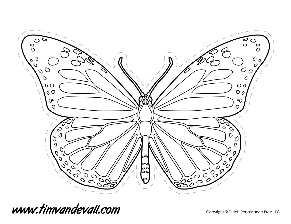 Monarch Butterfly Outline Tim s Printables Butterfly Outline Butterfly Printable Butterfly Template