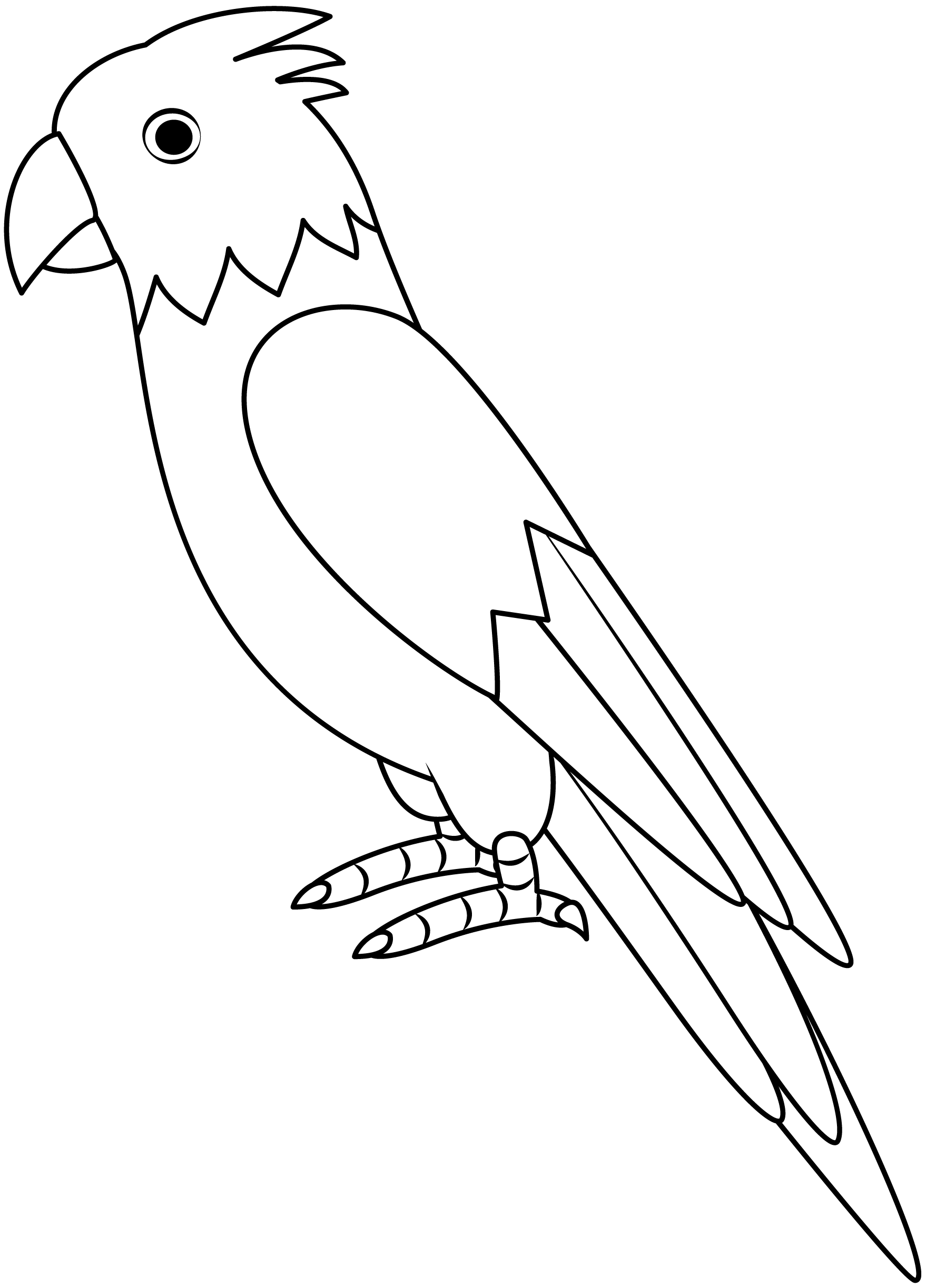 Parrot Printable Template Free Printable Papercraft Templates