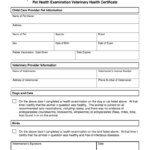 Pet Health Examination Veterinary Health Certificate Fill Out Sign Online DocHub