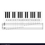 Piano Keyboard Diagram Keyboard Layout Vector Image