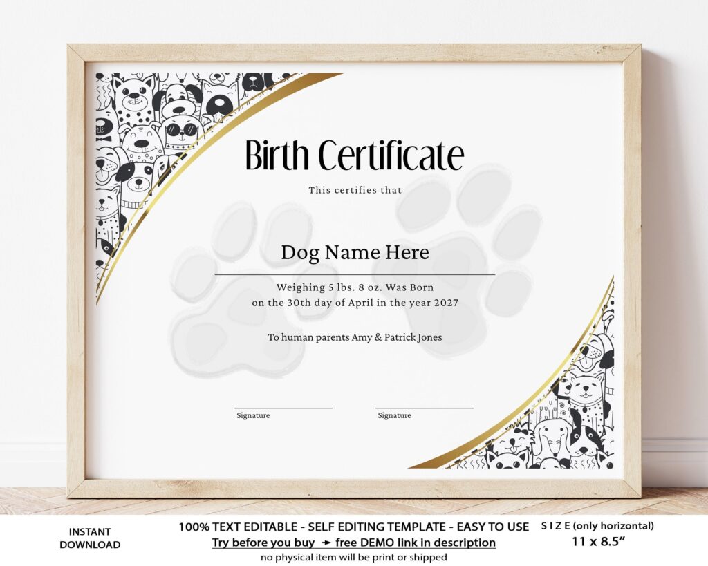 Printable Birth Certificate Template