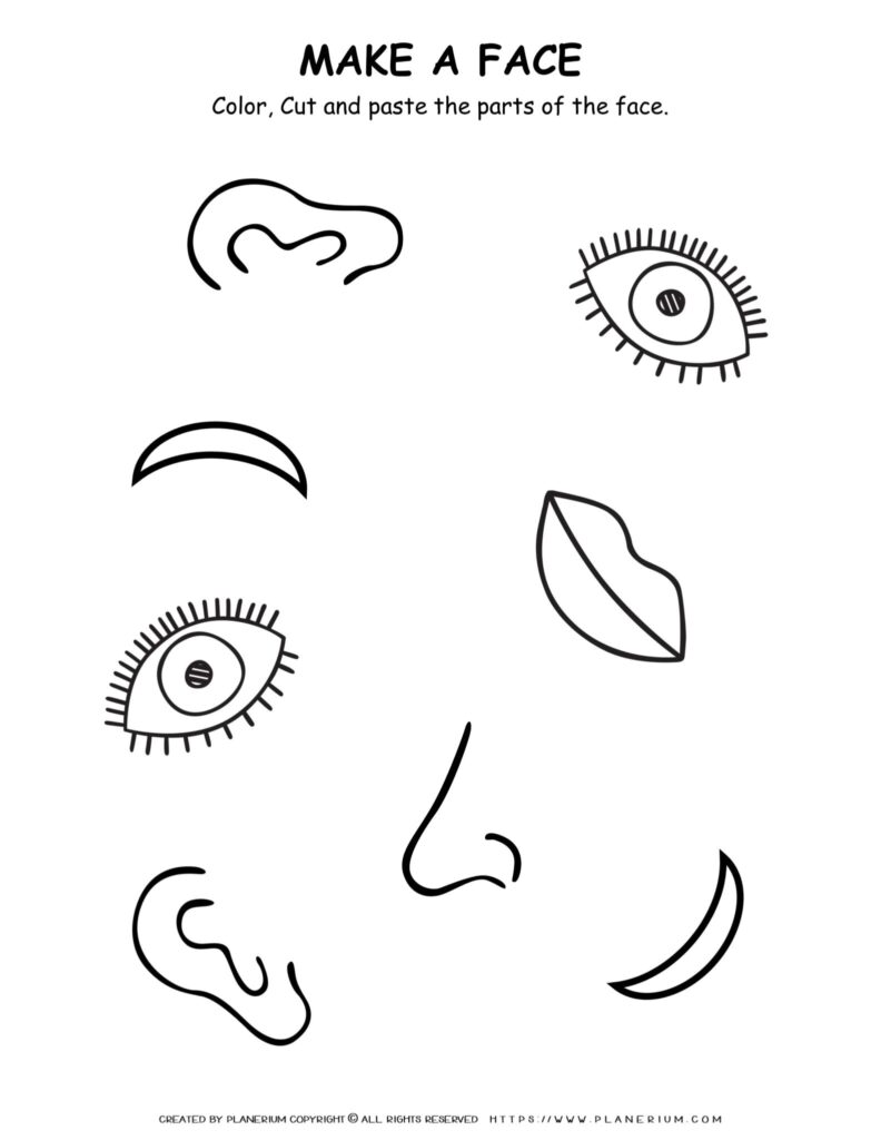 Science Worksheet Face Parts Planerium