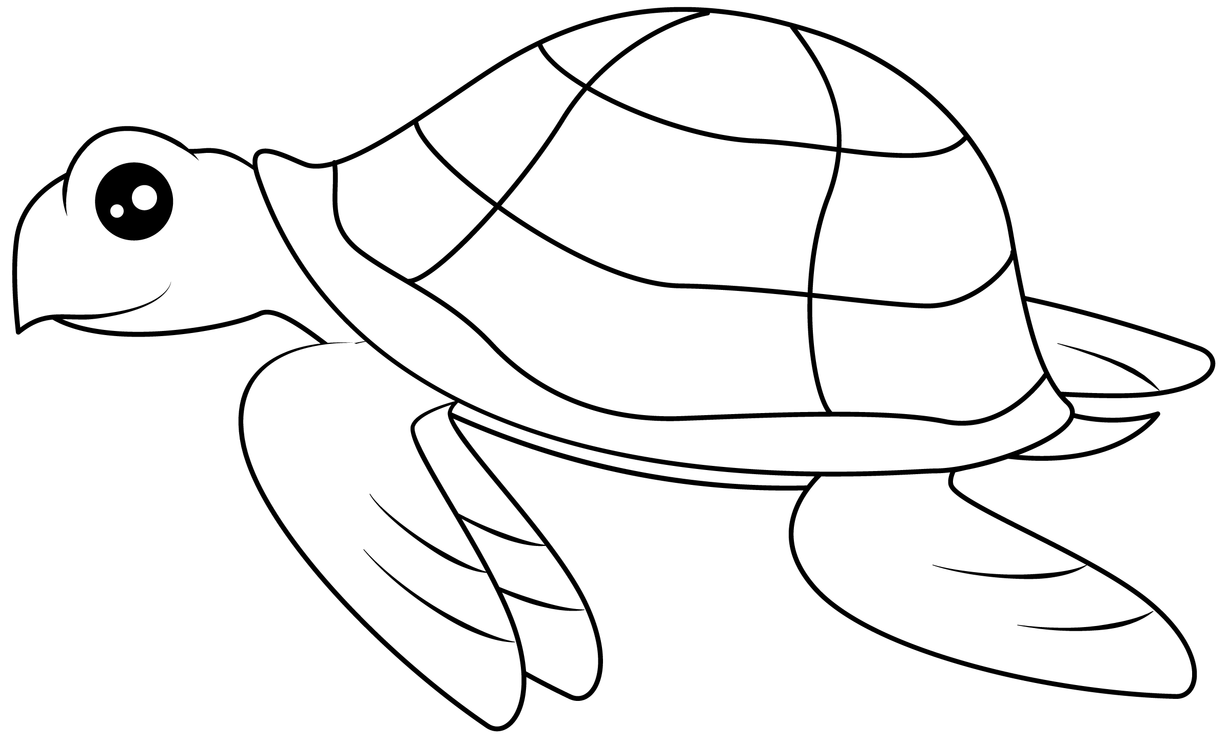 Sea Turtle Printable Template Free Printable Papercraft Templates