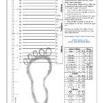 This Is Handy For Back To School Shoe Shopping Shoe Size Chart Kids Toddler Shoe Size Chart Baby Shoe Size Chart