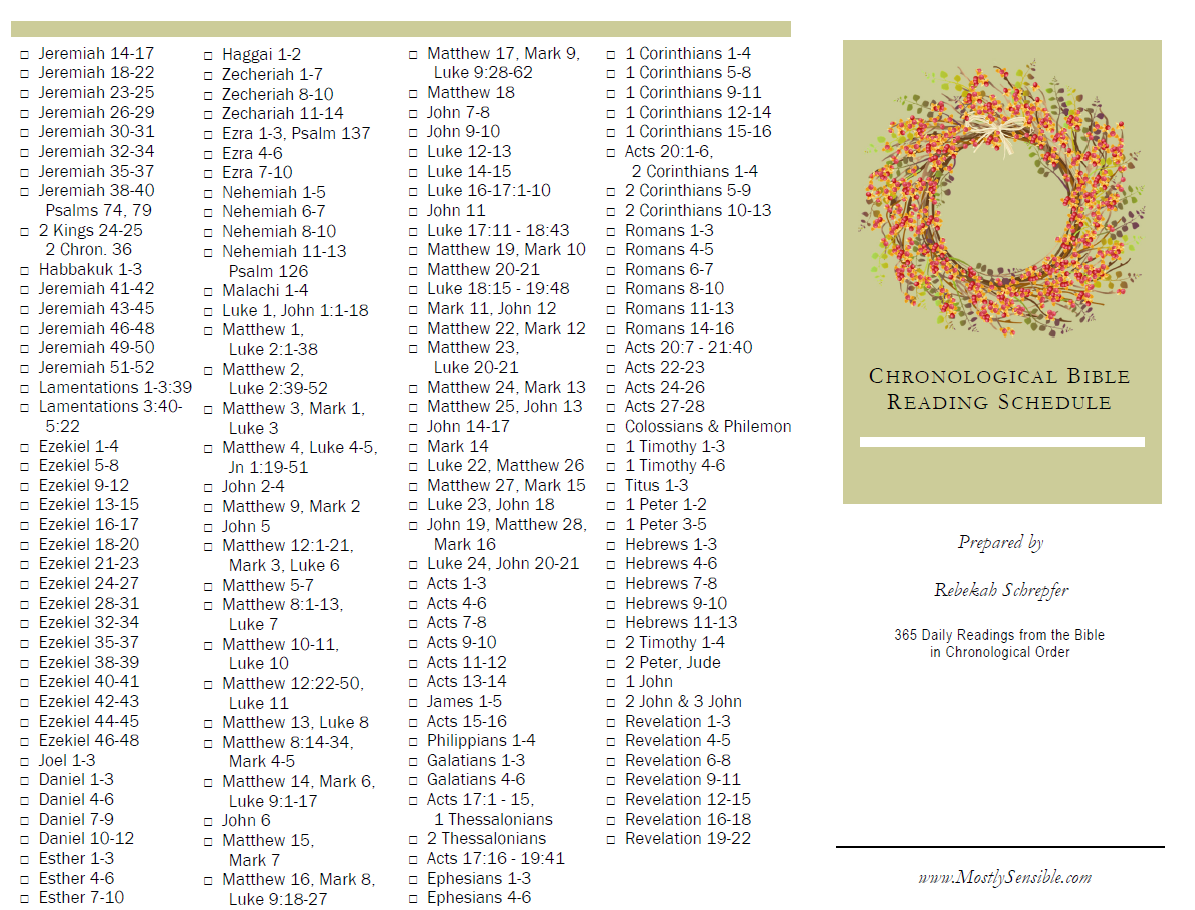 Chronological Bible Reading Schedule Printable MostlySensible