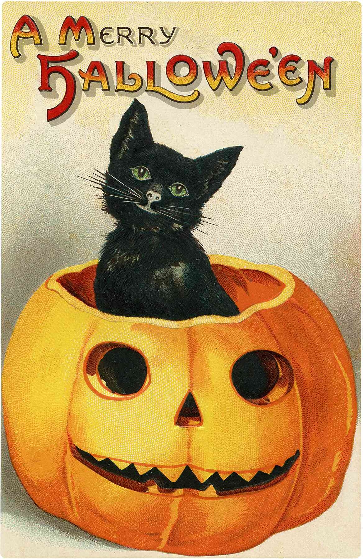 Free Halloween Clip Art For All Of Your Projects