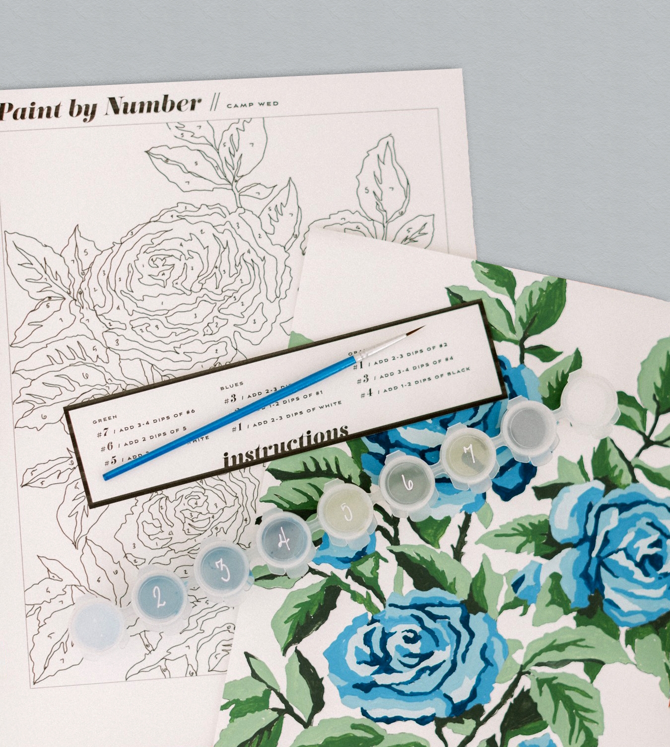 Paint By Numbers Free Printables For Adults